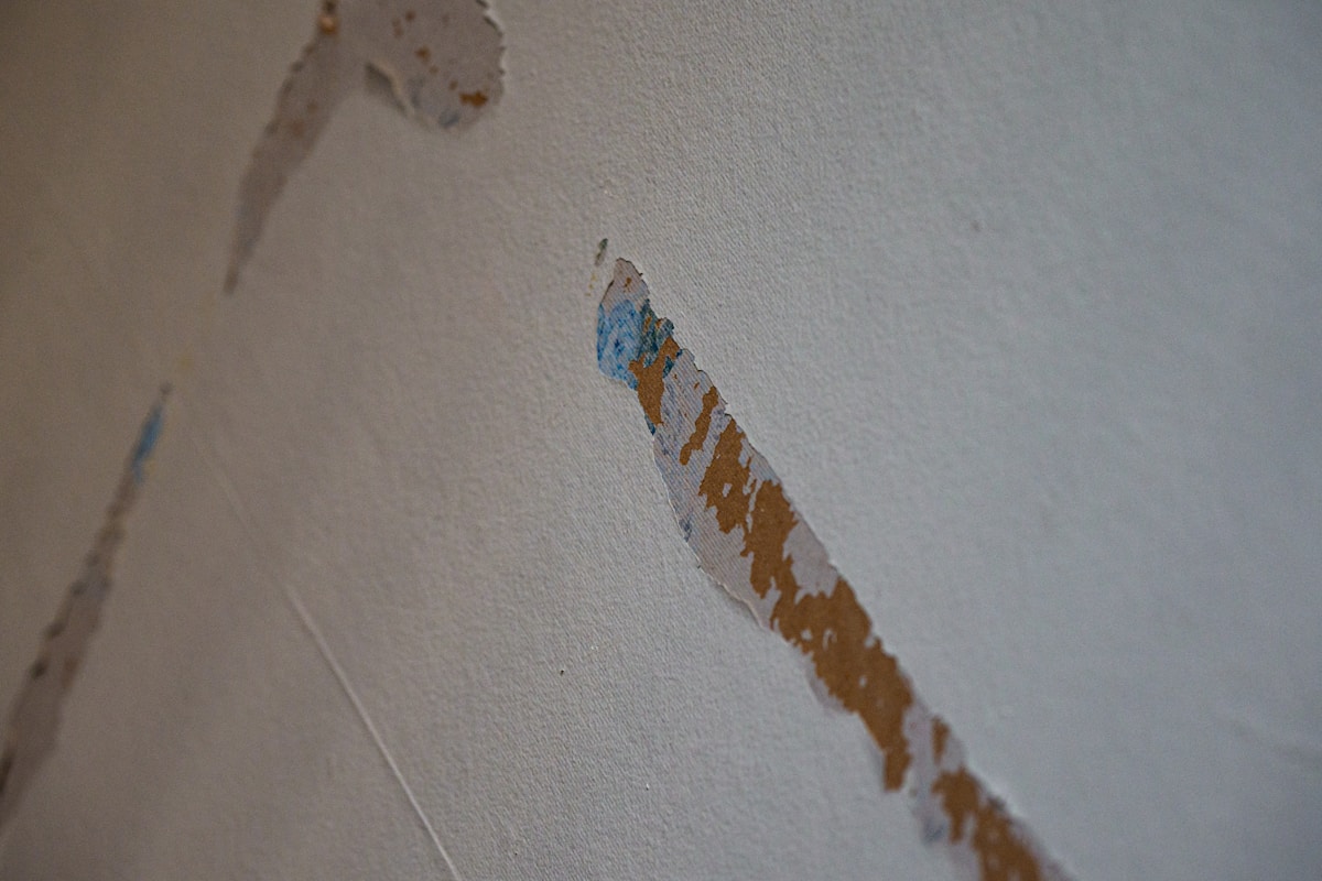 Mold Remediation service in Palo Alto, CA