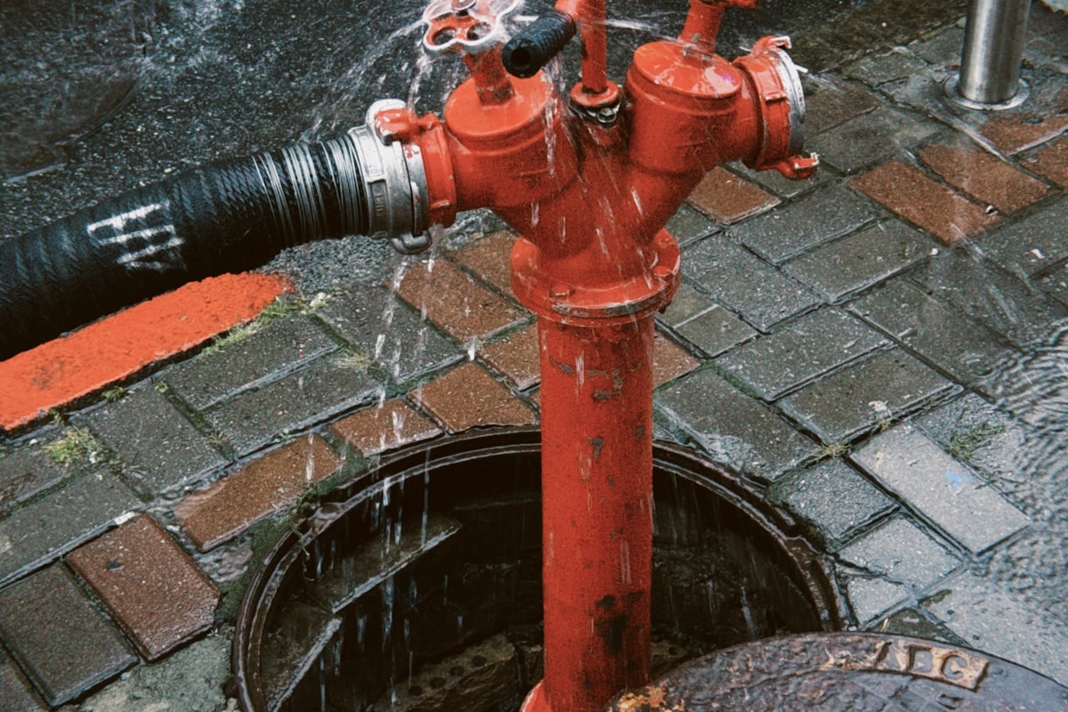 Water Extraction service in Palo Alto, CA